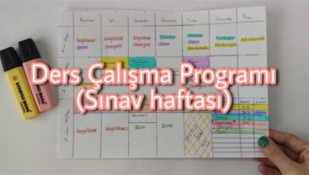 Sınava Hazırlık İçin Özel Ders ve Eğitim Programları