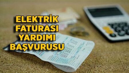 Elektrik ve Doğalgaz Fatura Desteği Başvurusu